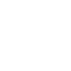 Daves of Thunder